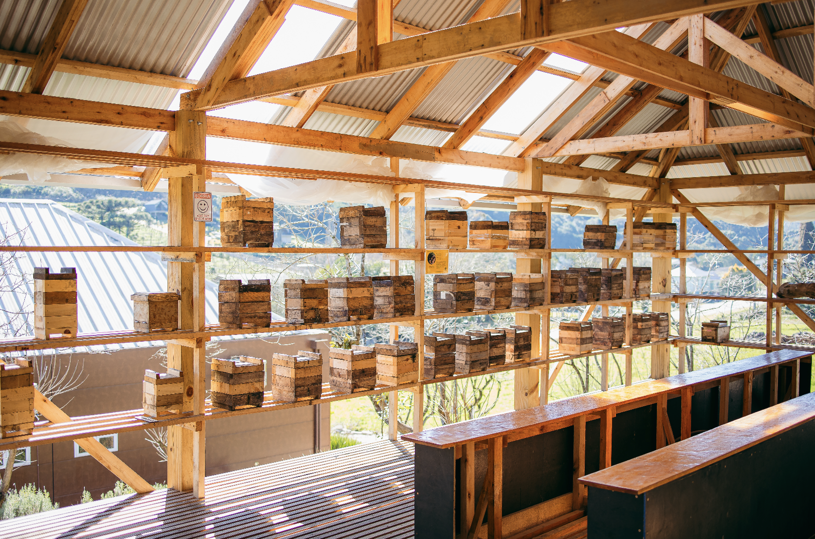 Dia da Abelha - Parque das Abelhas Caixas de abelhas - Parque das Abelhas